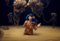 Björk: Mutual Core Björk: Mutual Core